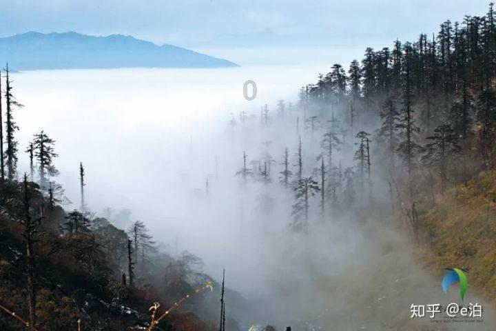 伴娘的任务
