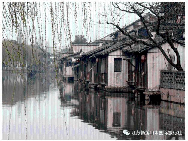时尚红人莎莉